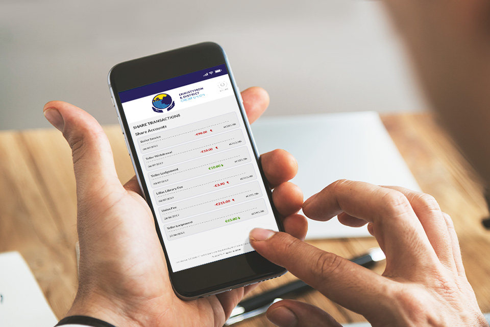 View Account Balances and Transactions